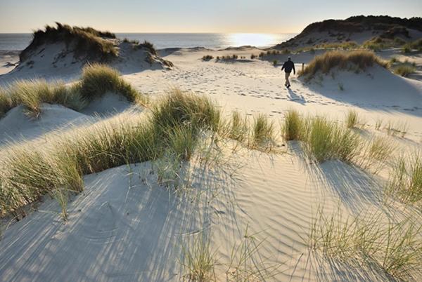 Heerlijk Vrijstaand Huis Aan De Duinen Бур Хамстед Екстериор снимка